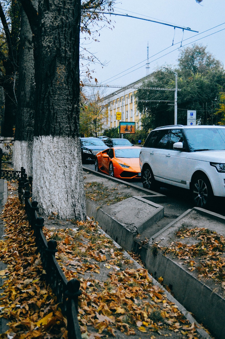 Carsharing w Polsce: Przyszłość mobilności?