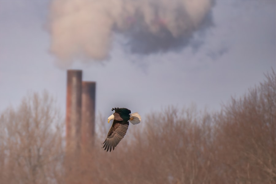 Opłata za korzystanie ze środowiska: konieczność czy obciążenie? 3 Photo environmental fee