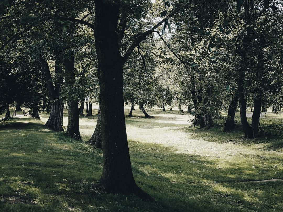 Tajemnice polskich zamków: historia i legendy