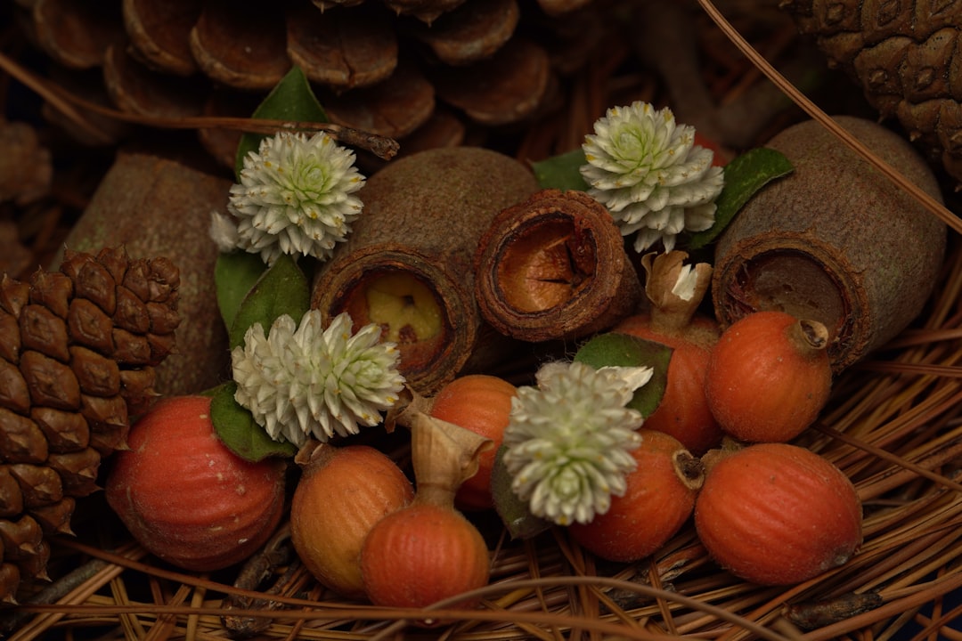 Produkty sezonowe w Polsce: Co warto wypróbować?