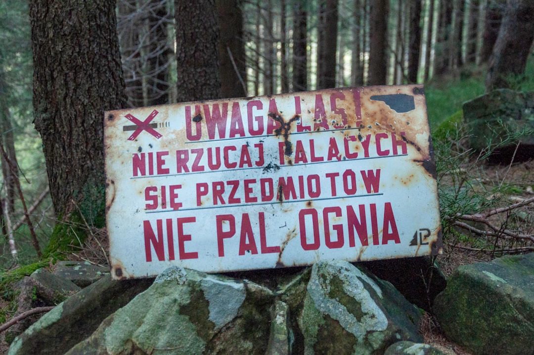 Polskie cuda przyrody: Niesamowite zjawiska natury
